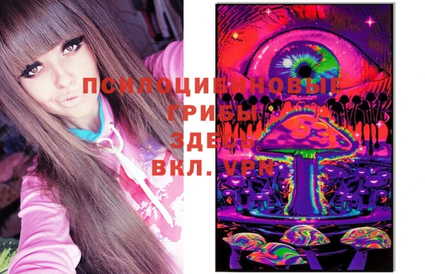 спайс Алексин