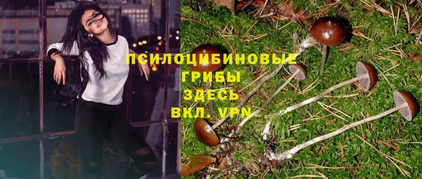спайс Алексин