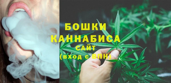 спайс Алексин